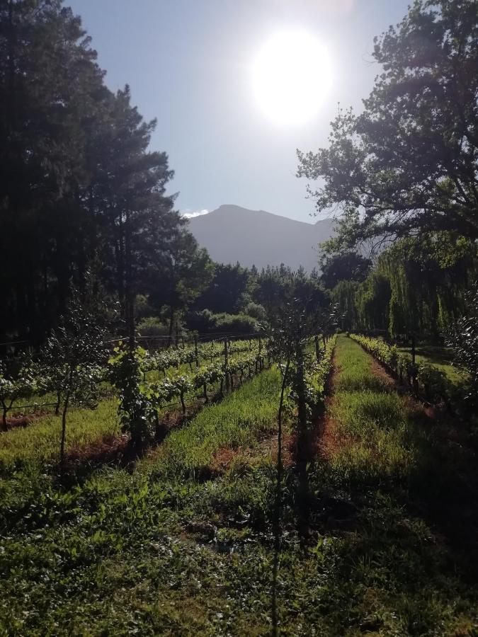 Apartment Cabernet Be Still And Know Franschhoek