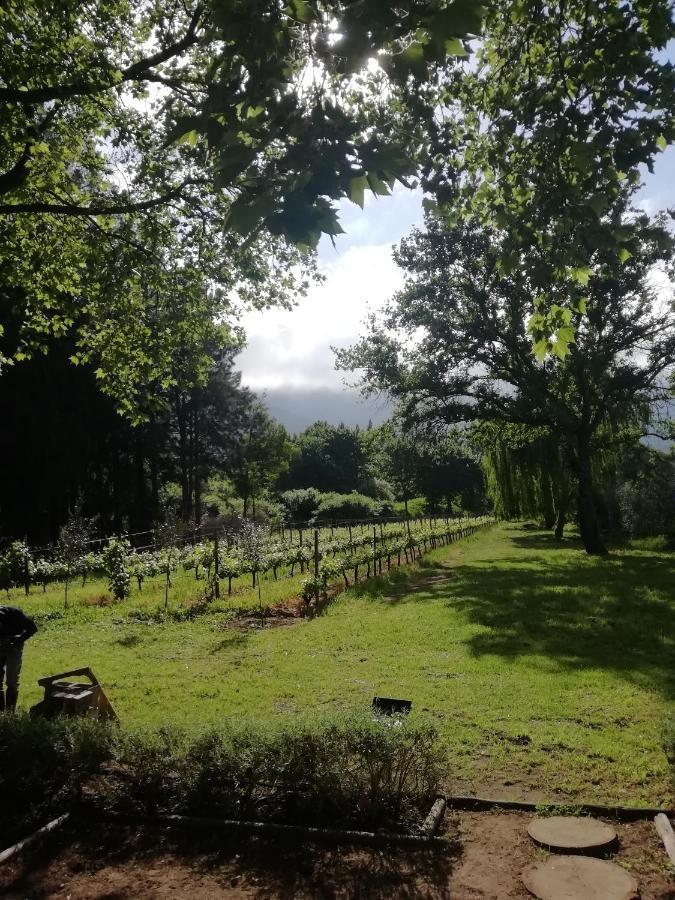 Cabernet Be Still And Know Apartment Franschhoek
